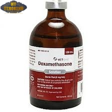 dexamethasone