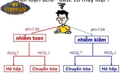 Toan hô hấp